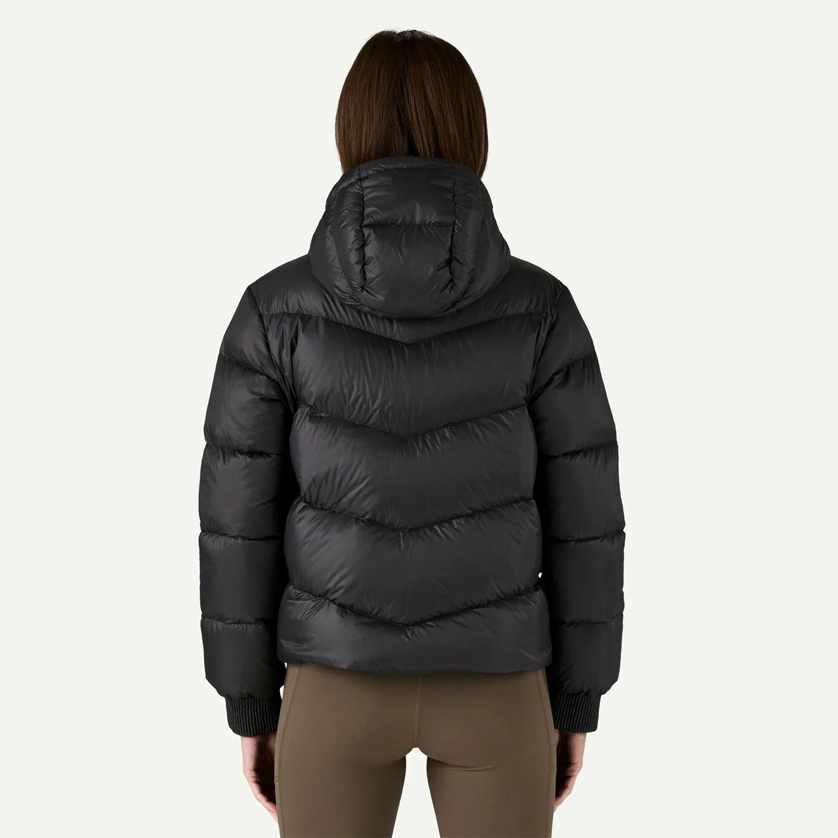 Patagonia Women's Sindit Hoody Jacket