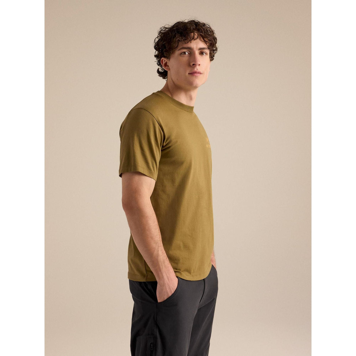 Arc'teryx Men's Kragg SL Cotton Bird Word SS